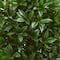 Nearly Natural; 4.7ft. UV Resistant Bay Leaf Cone Topiary Tree in Slate Planter; Category:Trees & Floor Plants; Image:3